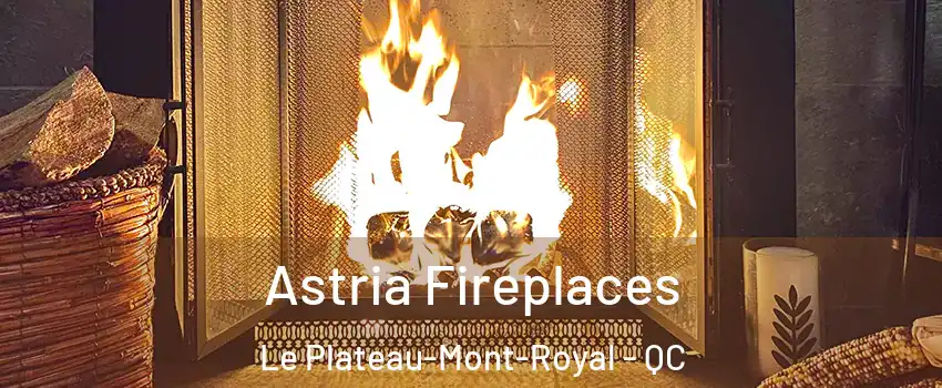  Astria Fireplaces Le Plateau-Mont-Royal - QC