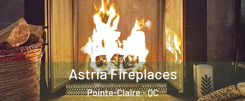  Astria Fireplaces Pointe-Claire - QC