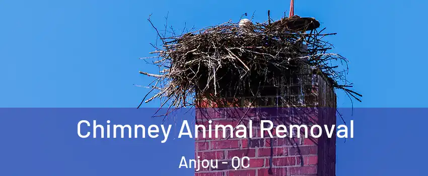  Chimney Animal Removal Anjou - QC