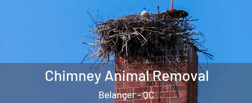 Chimney Animal Removal Belanger - QC