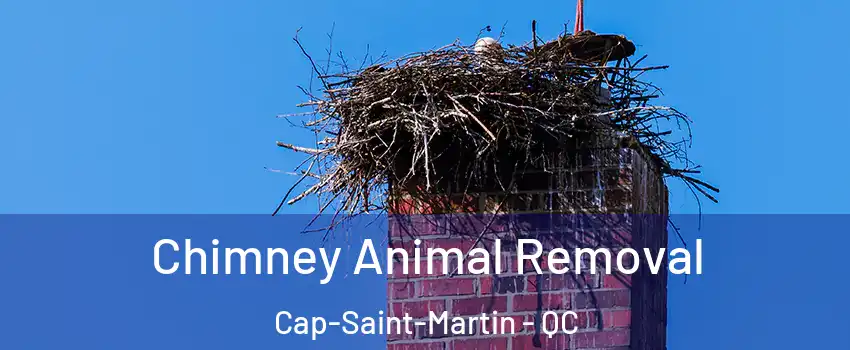 Chimney Animal Removal Cap-Saint-Martin - QC