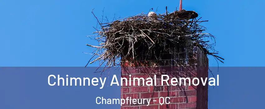 Chimney Animal Removal Champfleury - QC