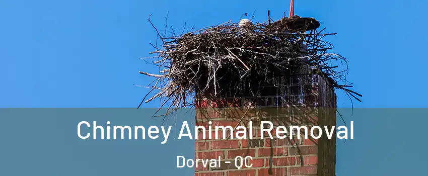 Chimney Animal Removal Dorval - QC