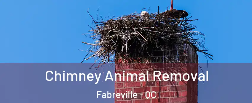  Chimney Animal Removal Fabreville - QC