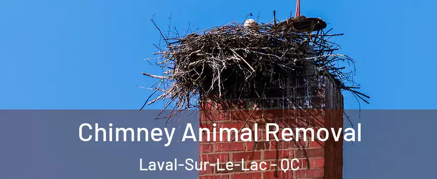 Chimney Animal Removal Laval-Sur-Le-Lac - QC