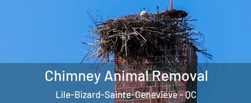 Chimney Animal Removal Lile-Bizard-Sainte-Genevieve - QC