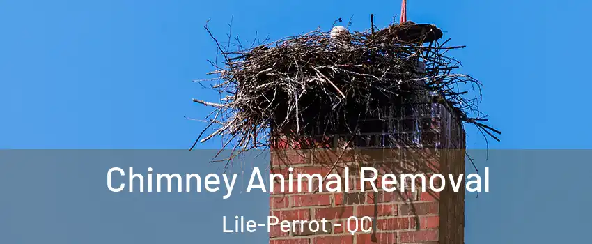 Chimney Animal Removal Lile-Perrot - QC