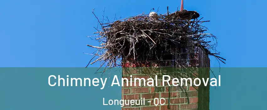 Chimney Animal Removal Longueuil - QC