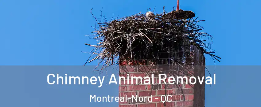 Chimney Animal Removal Montreal-Nord - QC