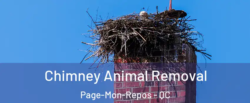  Chimney Animal Removal Page-Mon-Repos - QC