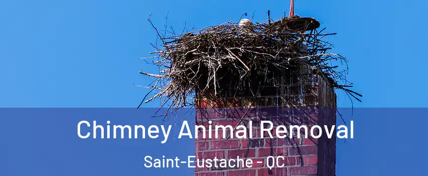 Chimney Animal Removal Saint-Eustache - QC