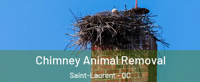 Chimney Animal Removal Saint-Laurent - QC