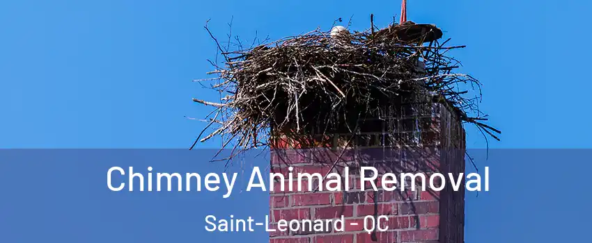  Chimney Animal Removal Saint-Leonard - QC