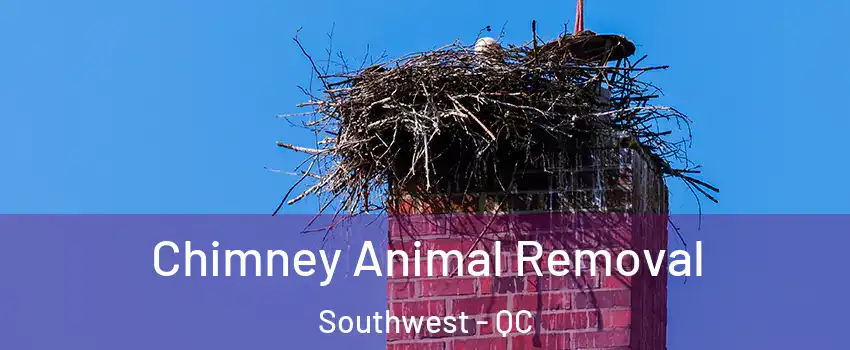 Chimney Animal Removal Southwest - QC