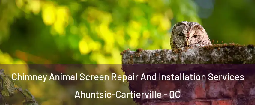  Chimney Animal Screen Repair And Installation Services Ahuntsic-Cartierville - QC