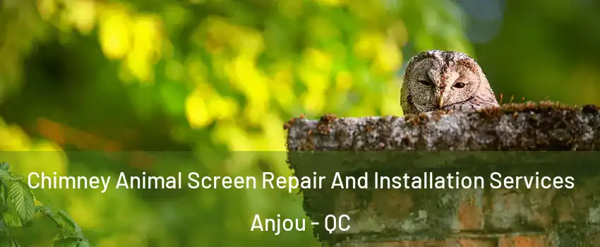  Chimney Animal Screen Repair And Installation Services Anjou - QC
