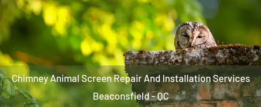  Chimney Animal Screen Repair And Installation Services Beaconsfield - QC