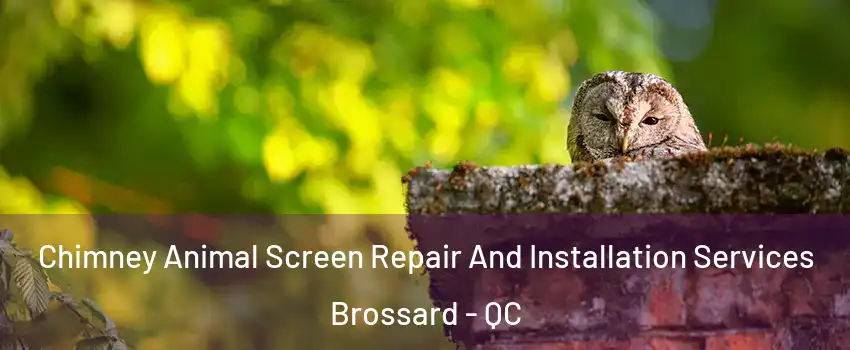 Chimney Animal Screen Repair And Installation Services Brossard - QC