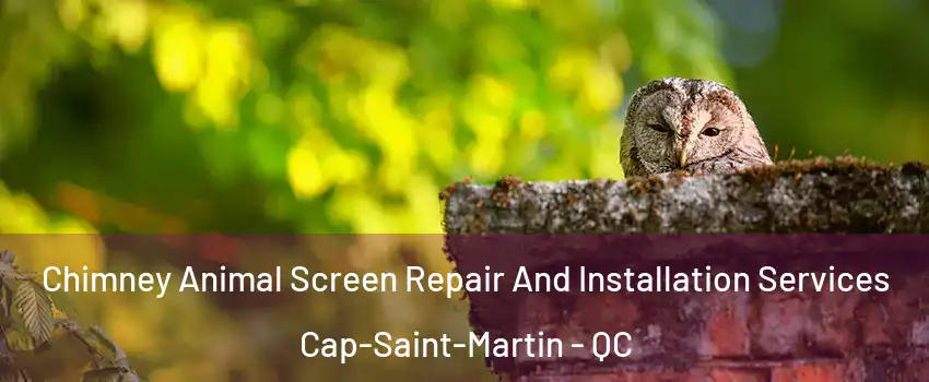 Chimney Animal Screen Repair And Installation Services Cap-Saint-Martin - QC