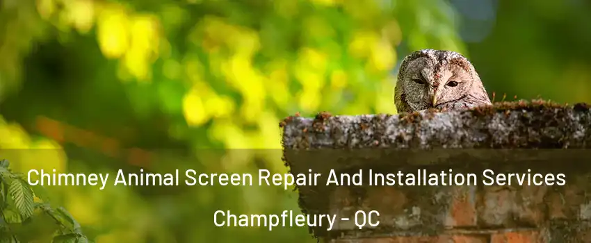  Chimney Animal Screen Repair And Installation Services Champfleury - QC