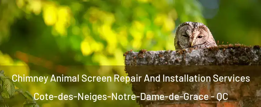  Chimney Animal Screen Repair And Installation Services Cote-des-Neiges-Notre-Dame-de-Grace - QC