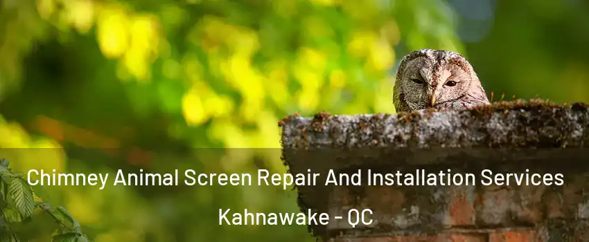  Chimney Animal Screen Repair And Installation Services Kahnawake - QC