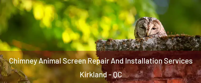  Chimney Animal Screen Repair And Installation Services Kirkland - QC