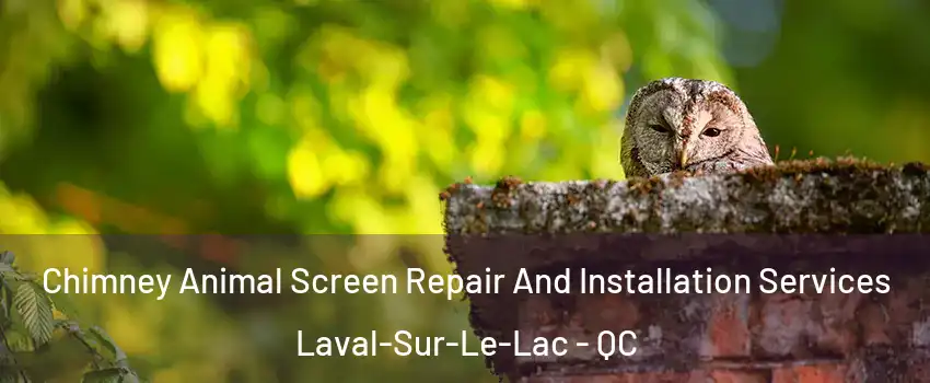  Chimney Animal Screen Repair And Installation Services Laval-Sur-Le-Lac - QC