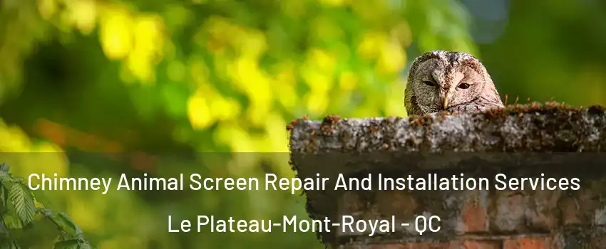  Chimney Animal Screen Repair And Installation Services Le Plateau-Mont-Royal - QC