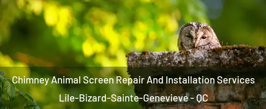  Chimney Animal Screen Repair And Installation Services Lile-Bizard-Sainte-Genevieve - QC