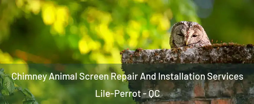  Chimney Animal Screen Repair And Installation Services Lile-Perrot - QC