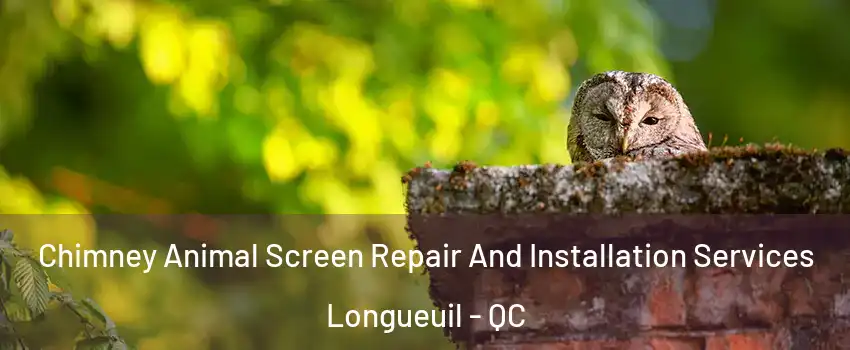  Chimney Animal Screen Repair And Installation Services Longueuil - QC