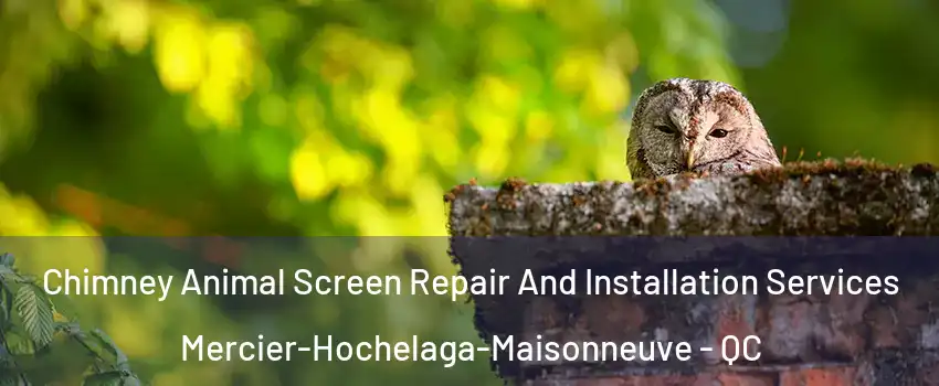  Chimney Animal Screen Repair And Installation Services Mercier-Hochelaga-Maisonneuve - QC