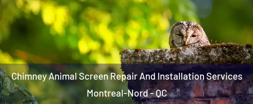  Chimney Animal Screen Repair And Installation Services Montreal-Nord - QC