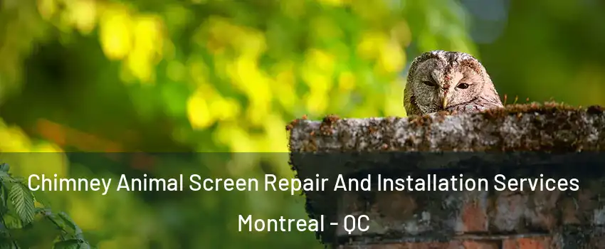  Chimney Animal Screen Repair And Installation Services Montreal - QC