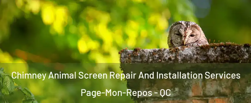  Chimney Animal Screen Repair And Installation Services Page-Mon-Repos - QC
