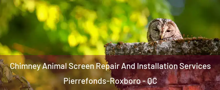  Chimney Animal Screen Repair And Installation Services Pierrefonds-Roxboro - QC