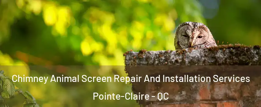  Chimney Animal Screen Repair And Installation Services Pointe-Claire - QC