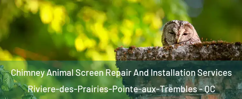  Chimney Animal Screen Repair And Installation Services Riviere-des-Prairies-Pointe-aux-Trembles - QC