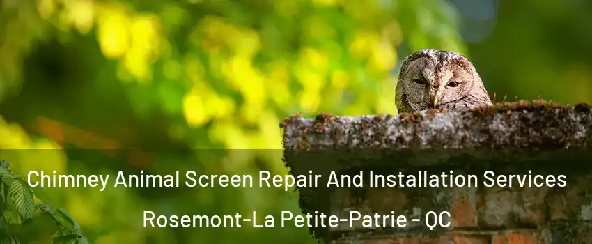  Chimney Animal Screen Repair And Installation Services Rosemont-La Petite-Patrie - QC