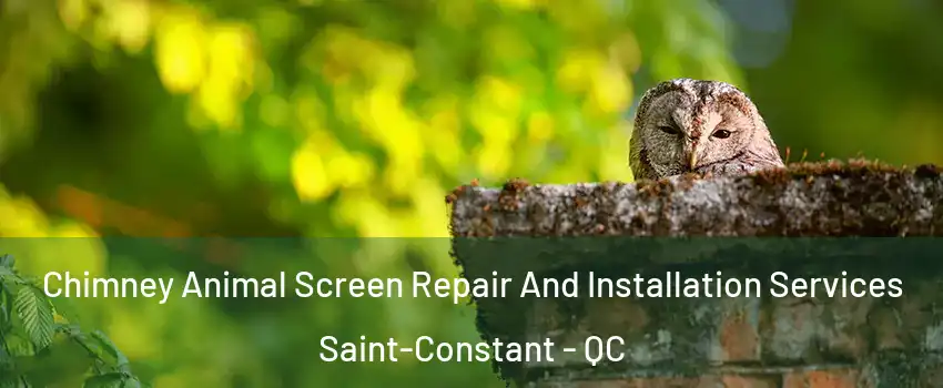  Chimney Animal Screen Repair And Installation Services Saint-Constant - QC