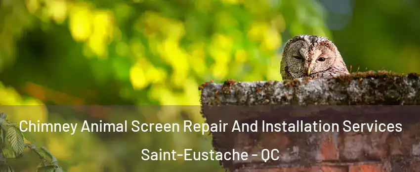  Chimney Animal Screen Repair And Installation Services Saint-Eustache - QC