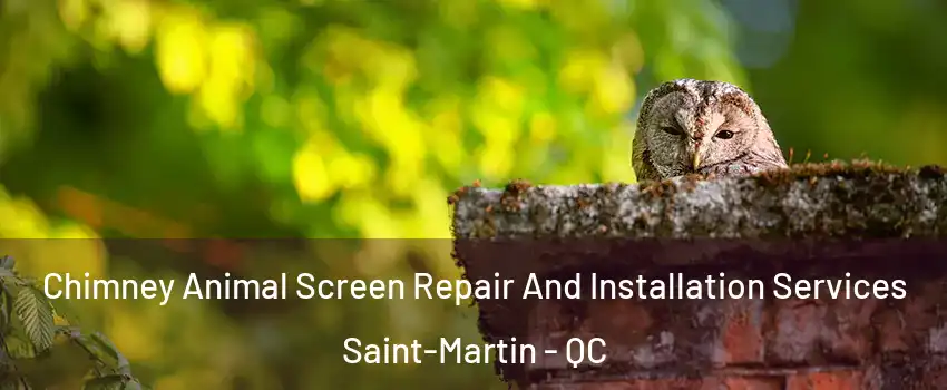  Chimney Animal Screen Repair And Installation Services Saint-Martin - QC