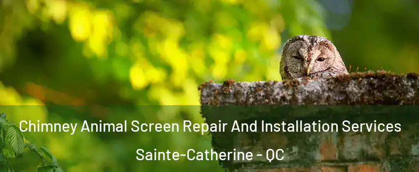  Chimney Animal Screen Repair And Installation Services Sainte-Catherine - QC