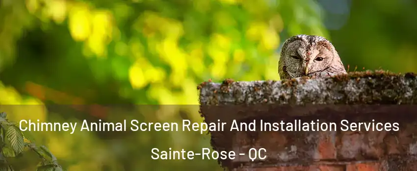 Chimney Animal Screen Repair And Installation Services Sainte-Rose - QC