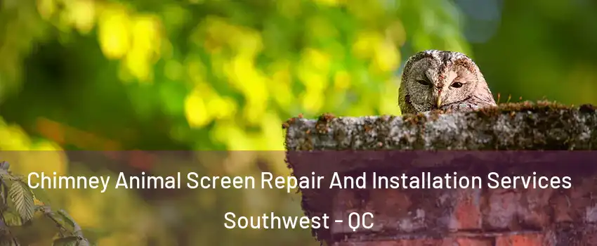  Chimney Animal Screen Repair And Installation Services Southwest - QC
