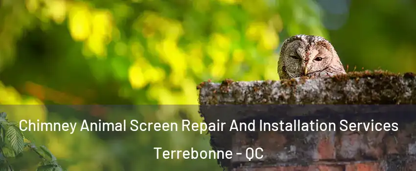  Chimney Animal Screen Repair And Installation Services Terrebonne - QC
