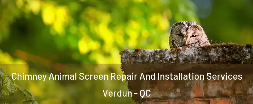  Chimney Animal Screen Repair And Installation Services Verdun - QC