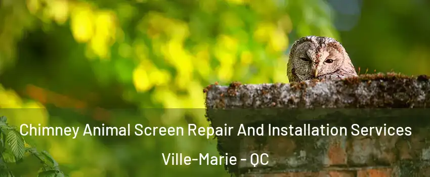  Chimney Animal Screen Repair And Installation Services Ville-Marie - QC