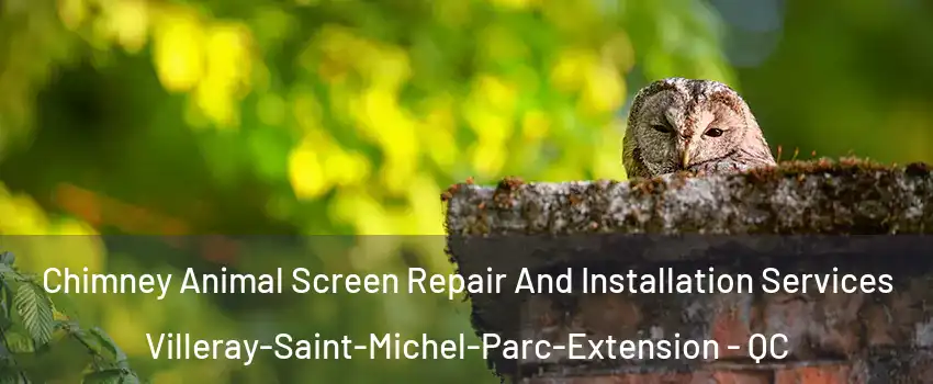  Chimney Animal Screen Repair And Installation Services Villeray-Saint-Michel-Parc-Extension - QC